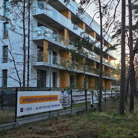 Sosnowy Widok Na Morze